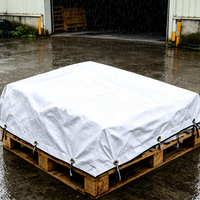 Bâche en PE blanche à double revêtement durable pour une utilisation polyvalente