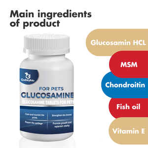 OEM Hip <span class=keywords><strong>and</strong></span> Joint integratore per cani pillole vitaminiche integratore di Private Label cane MSM Joint Health compresse con materiale Halal - Product Image 4