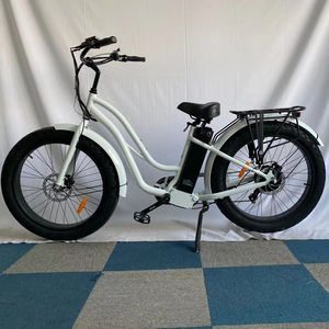 <span class=keywords><strong>Ristar</strong></span> Cycle Step Through Vélo électrique Beach Cruiser Fat Tire Ebike Hybrid Classic EBike 48v 750w 36v 250w CE - Product Image 1