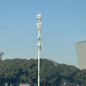 <span class=keywords><strong>Poste</strong></span> <span class=keywords><strong>de</strong></span> Antena <span class=keywords><strong>de</strong></span> Acero Galvanizado en Caliente <span class=keywords><strong>de</strong></span> 10m, 12m, 15m, 18m para Estación Base, al Mejor <span class=keywords><strong>Precio</strong></span> <span class=keywords><strong>de</strong></span> Fábrica - Product Image 5