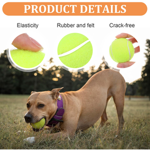 Pelota de Tenis para Perros con Logotipo Personalizado, Alta Elasticidad, Colorida, Fácil de Atrapar, Pelota de Juego para Mascotas, para Masticar y Perseguir, 2.5 Pulgadas - Product Image 5