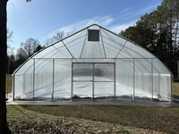 Serre tunnel économique à simple travée en film plastique pour jardin et petite exploitation agricole