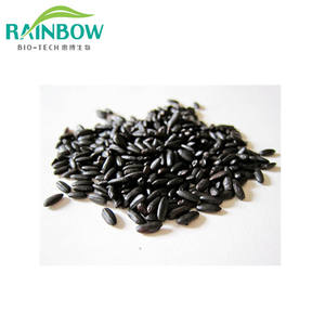 Заводская поставка, 100% натуральный органический экстракт фиолетового черного риса, лидер продаж, экстракт семян черного риса - Product Image 4
