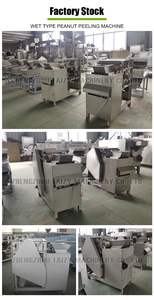 Pelador de capa roja de maní automático, máquina peladora de maní crudo de tipo húmedo, <span class=keywords><strong>precio</strong></span> - Product Image 6