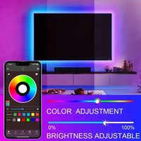 Twinklight Décoratif Led 24V 3535 RVB Flexible DIY Couleur Smart RVB LED Néon Corde Bande lumineuse