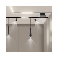 Surface titre embarqués lumière suspension Smart phone APP contrôle LED spots LED piste magnétique lumière DC-V48 système