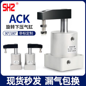 Actionneur rotatif pneumatique miniature SRC25/32/40/50/63, cylindre de serrage vers le bas à 90 degrés, application industrielle, air - Product Image 5