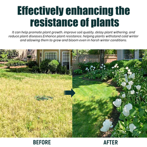 <span class=keywords><strong>Engrais</strong></span> liquide de qualité supérieure pour plantes de 30ml pour améliorer la santé du sol et la floraison de toutes les plantes - Product Image 2