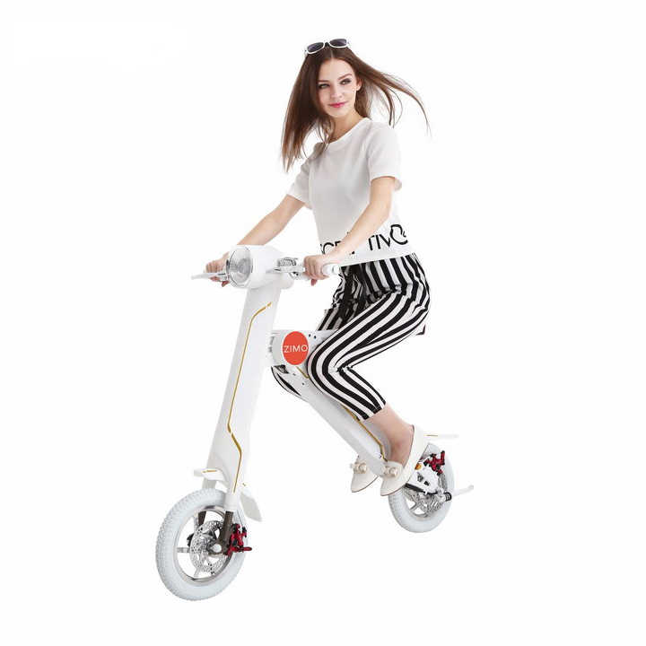 Discover the Lehe K1 Electric Bike: Foldable, 240W Motor, 40-60 km