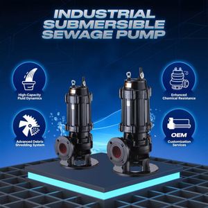 Customized 10hp/15hp/18.5hp/20hp/30hp/40hp/50hp 0.55KW-400KW High Flow Mini <b>Sludge</b> Water Ring <b>Pump</b> - Product Image 5