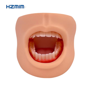 Modello di cure dentistiche con guancia modello di scheletro in PVC anatomico per l'insegnamento medico e le scuole strumento di istruzione di scienza medica - Product Image 5