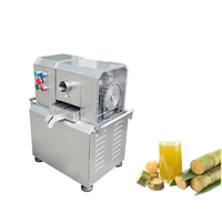 Commerciële elektrische roestvrijstalen suikerrietpers met motor, 1,1 kW vermogen, 350 kg/uur capaciteit voor fruitverwerkingsbedrijven, eenvoudig in gebruik.