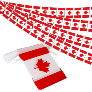 Serie Bandera de Canadá: Bandera para Ventana de Coche, Cubierta para Espejo Retrovisor, Pulsera, Pintura Facial, Sombrero, Bolsa, Camiseta, Llavero, Gafas de Sol, Pin - Product Image 4