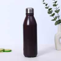 Logo personnalisé 500ml Bouteille en aluminium pour la maison et l'extérieur