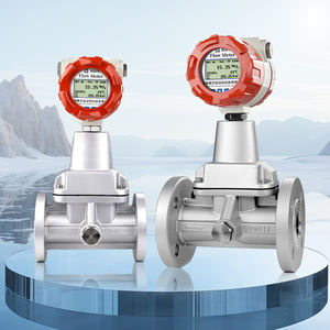 プリセッションボルテックス流量計 DN50 天然ガス、ガスアルゴン、圧縮空気用プリセッションボルテックス流量計 - Product Image 3