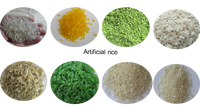 Extrudeuse à double vis en acier inoxydable pour la production de riz artificiel fortifié, ligne de production de riz artificiel, machine à couscous nutritif