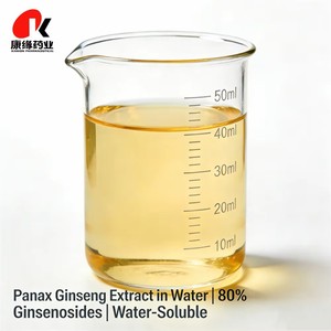 Extrato de Ginseng Natural Certificado ISO de Alta Pureza 80% Ginsenosídeos Testado por UV HPLC Atacado de Fábrica TGA - Product Image 4