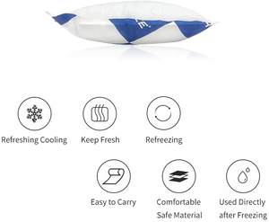 Oem Food Grade Droogijs Packs Voor Het Verzenden Van Diepvriesproducten En Koelers Langdurige Koude Vochtbestendige Zuinig - Product Image 6