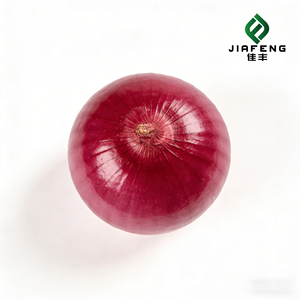 Cebollas Rojas y Amarillas Frescas, Plus Chalotes Amarillos, Paquete de 50 kg de Vegetales, Pedido al por Mayor Económico - Product Image 3