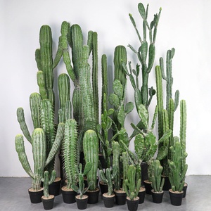 <span class=keywords><strong>Cactus</strong></span> <span class=keywords><strong>Artificiale</strong></span> Grande Stile Nordico Verde in PVC Morbido per Decorazione Interna e Fotografia Marca XY Pezzo Singolo - Product Image 1