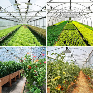 12w 15w E26 E27 frutta <span class=keywords><strong>del</strong></span> <span class=keywords><strong>drago</strong></span> collegabile a spettro completo <span class=keywords><strong>pianta</strong></span> coltiva lampadina - Product Image 6