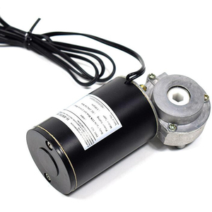 חשמלי outboard dc תולעת הילוך מנוע 45 מ "מ 12v/24v עמיד למים עבור אופניים ממונעים סירות אופניים חשמליים - Product Image 2