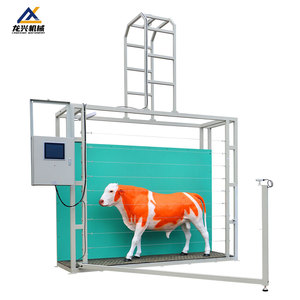 Sistema Intelligente di Misurazione Corporea per Bovini, Rilevatore Professionale delle Dimensioni dei Bovini per Allevamenti su Larga Scala - Product Image 4