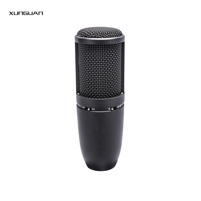 P120 Portable Noise Cancelling Vocal XLR Condenser Microphone for Broadcast Blogging Gaming Podcasting Live Streaming