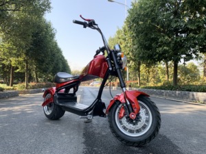 Moto électrique portable d'<span class=keywords><strong>occasion</strong></span>, nouveaux produits à succès, batterie lithium-ion, Citycoco, usine d'origine - Product Image 3