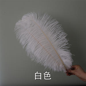 Plumas de avestruz teñidas de 35-40cm para guía de <span class=keywords><strong>camino</strong></span> de boda decoración de iluminación de arte Floral accesorios de escenario grandes coloridos - Product Image 5
