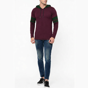 Sweat-shirt à capuche pour homme 100% coton molletonné tricoté coupe classique dégradé de couleurs décontracté écologique doublé 380g pour l'automne - Product Image 1