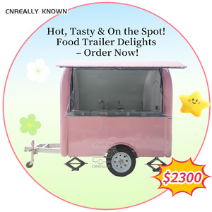 Caravana OEM para Restaurante, Camión de Comida, Carrito de Café, Pizza y Hot Dogs, con Hielera Extraíble en Rumania - Product Image 4