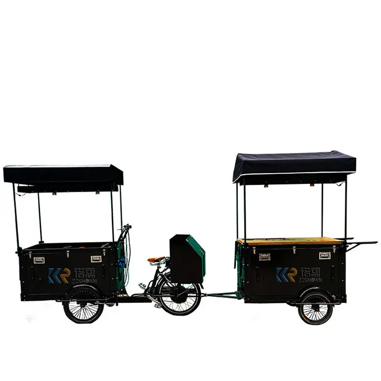 OEM Customized Coffee Bike Electric Tricycle Movable Expandable 3 Wheel Cargo Trike for Sale