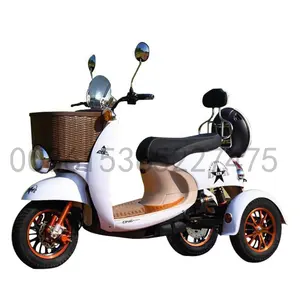 Ba Bánh 3 Bánh Xe Cơ Giới Ba Bánh Người Lớn Để Bán Trong Philippines Điện Xe Máy Scooter Điện Điện Ba Bánh