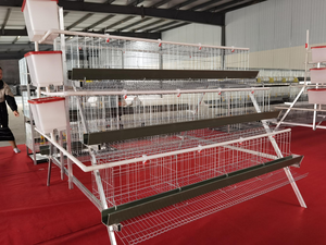 Nouveau poulailler <span class=keywords><strong>de</strong></span> type A 120 poulets avec galvanisation à froid multifonctionnel pour l'élevage <span class=keywords><strong>de</strong></span> poulets pondeuses - Product Image 4