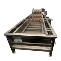 Línea de Procesamiento de Patas de Pollo Eléctrica / Máquina de Lavado de Patas de Pollo / Máquina de Limpieza de Patas de Pollo