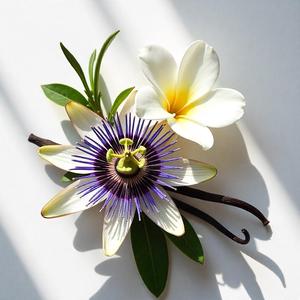 Divain Parfums 130 For Her Profumo Orientale al Profumo di Gardenia per Uso Serale - Product Image 2
