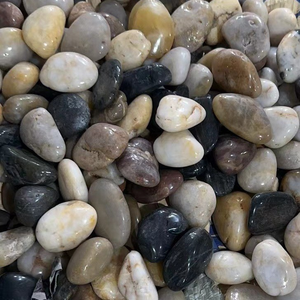 水槽造景 環境に優しいプラスチック製 模造サンゴ パイナップルハウス 魚とエビの隠れ家 水槽装飾 - Product Image 4