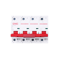 Mini Interruptor de Circuito Solar CNC Eléctrico DC 2P 500V 32A MCB para Sistema de Distribución de Energía Fotovoltaica DC