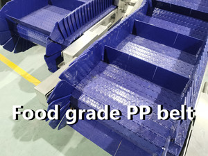 Tập trung máy móc colour Z loại nghiêng băng tải với cấp thực phẩm <span class=keywords><strong>PP</strong></span> vành đai cho trái cây và nhà hàng ngành công nghiệp cho vành đai băng tải - Product Image 3