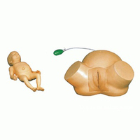 Modelo Avanzado de Parto con Dystocia en PVC, Simulación Humana Realista, Maniquí de Entrenamiento de Partería para la Enseñanza en Escuelas de Medicina