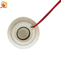 Disco Atomizador Piezoeléctrico Microporoso de Cerámica de 10 mm y 12 V, Elemento Atomizador Ultrasónico