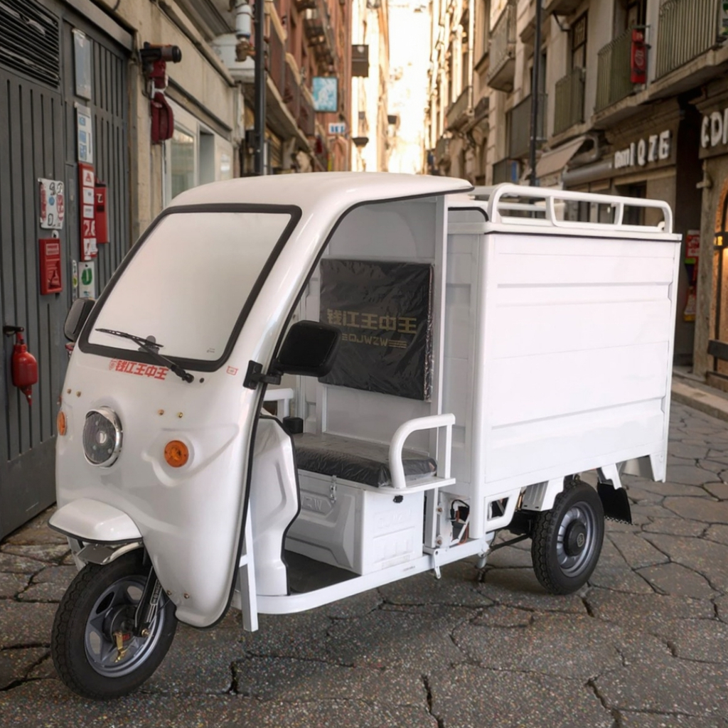 Hot Selling 60V Electric Tricycle Closed-Body Motorized Three-Wheeled Taxi Passenger & Cargo Transport Carrier with Certificate