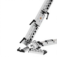 Rail de guidage linéaire biaxial SGR en aluminium, glissière linéaire à double axe avec bloc de verrouillage pour la pose de carreaux et l'automatisation industrielle