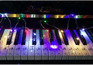 10m pin Powered <span class=keywords><strong>LED</strong></span> Đèn Cổ Tích Mini Valentine ánh sáng dây đồng chuỗi trong nhà đám cưới IP65 ngoài trời nhựa điều khiển từ xa - Product Image 6