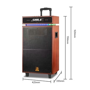 15 inch 100 wát Loa di động hoạt động bằng gỗ Loa sono LED, đầy màu sắc LED ánh sáng RGB enceinte sono - Product Image 6