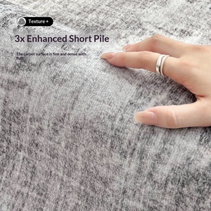 <span class=keywords><strong>Tapis</strong></span> <span class=keywords><strong>de</strong></span> salon <span class=keywords><strong>de</strong></span> style minimaliste et luxueux, <span class=keywords><strong>tapis</strong></span> <span class=keywords><strong>de</strong></span> chambre haut <span class=keywords><strong>de</strong></span> gamme, résistant aux taches, antidérapant, durable, en boucle. - Product Image 6