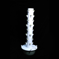 Système de culture hydroponique en tour, système de culture hydroponique vertical