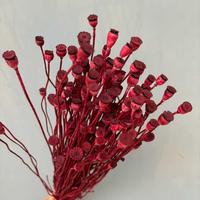 Fleurs séchées en gros pour la décoration intérieure : fleurs de pavot de terre naturelles préservées pour la création de bouquets et l'art floral