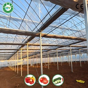 Serra Commerciale Multiuso in Film Plastico da 48ft X 36m <span class=keywords><strong>per</strong></span> Coltivazione di Ortaggi e <span class=keywords><strong>Agricoltura</strong></span> Commerciale - Product Image 5